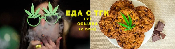 хмурый Алексин