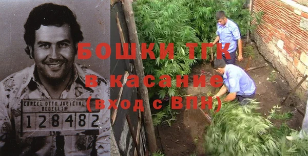 хмурый Алексин