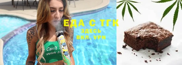 хмурый Алексин