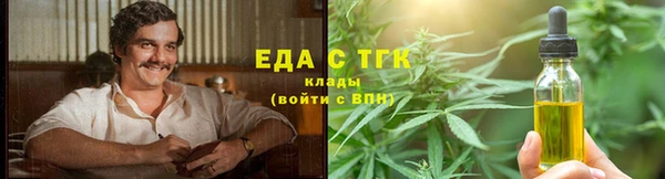 хмурый Алексин