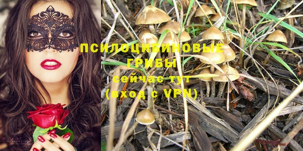 каннабис Алексеевка