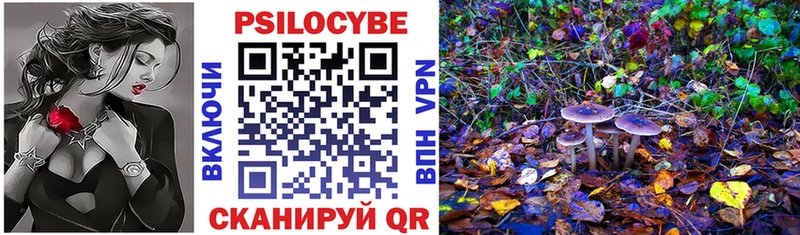 blacksprut ссылка  Елизово  Псилоцибиновые грибы мухоморы  где можно купить наркотик 