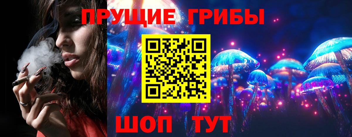Елизово  Галлюциногенные грибы GOLDEN TEACHER  Вход с VPN 